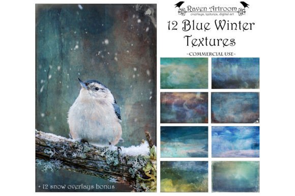 Blue Winter Textures, Fine Art Textures: Enhancing Creativity with Organic Vintage Aesthetics