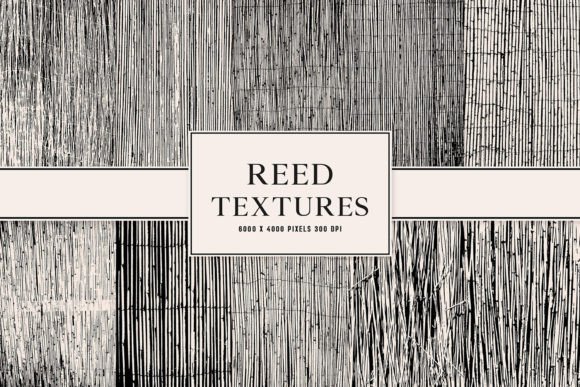 Reed Textures Elevate Your Design Projects